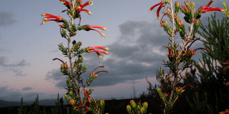 SANRAL taking care of the environment - SANRAL Stop Over